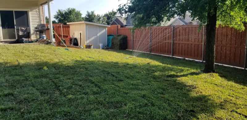 Lawn Replacement near Irving