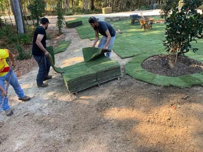 Sod Installation in Grand Prairie