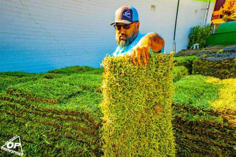 Lawn Replacement near Dallas