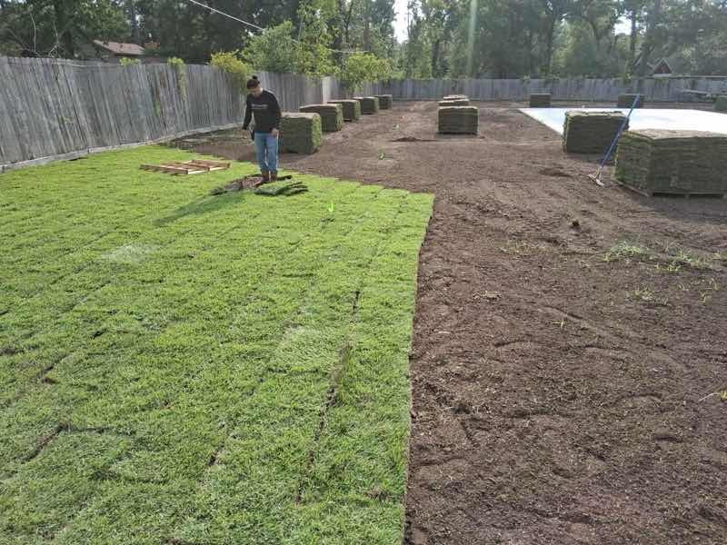 Zoysia Lawn in Grand Prairie