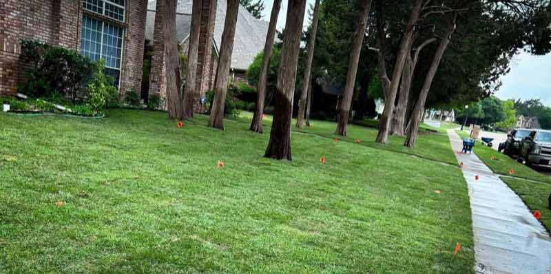 Lawn Replacement near Midlothian